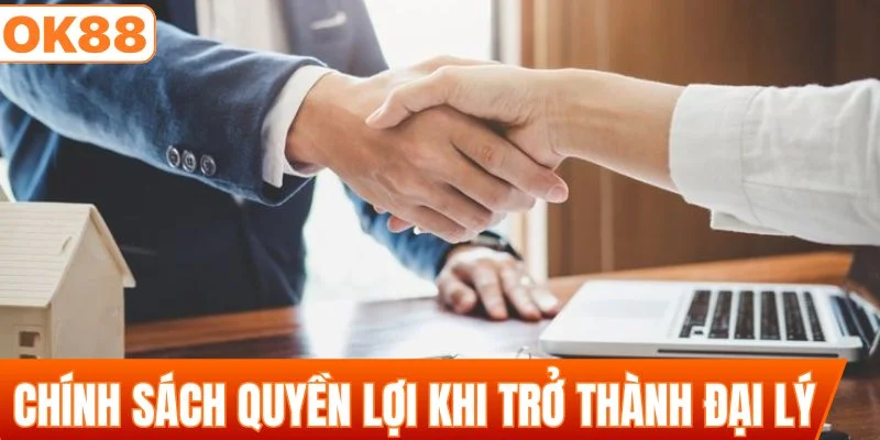 Chính sách quyền lợi khi trở thành đại lý