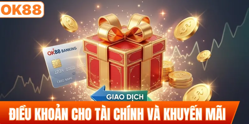 Điều khoản và điều kiện cho tài chính