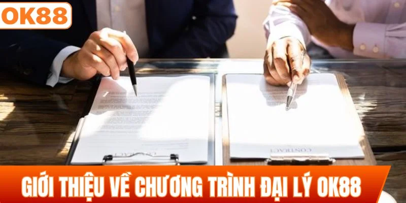 Giới thiệu đôi nét về chương trình đại lý OK88