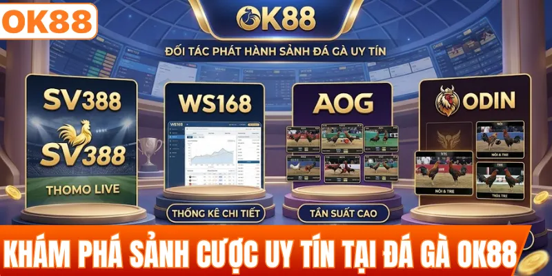 Khám phá sảnh cược uy tín tại đá gà OK88
