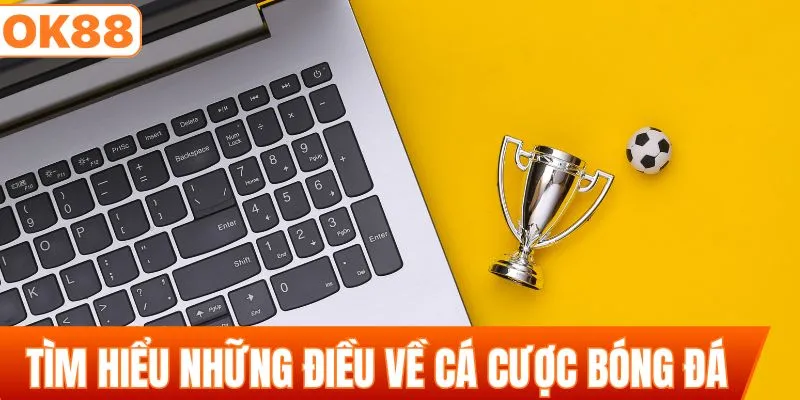 Tìm hiểu những điều về cá cược bóng đá