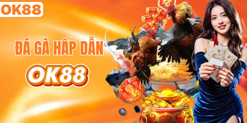 Xem đá gà trực tiếp với hơn 660 trận 1 ngày